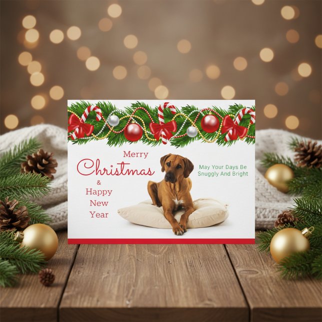  Festive Rhodesian Ridgeback Christmas Postcard (Rhodesian Ridgeback Christmas Postcard)