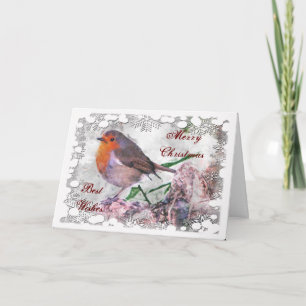 Festive Robin Christmas Card