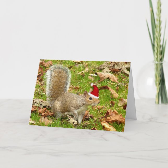 Festive squirrel! holiday card (Front)