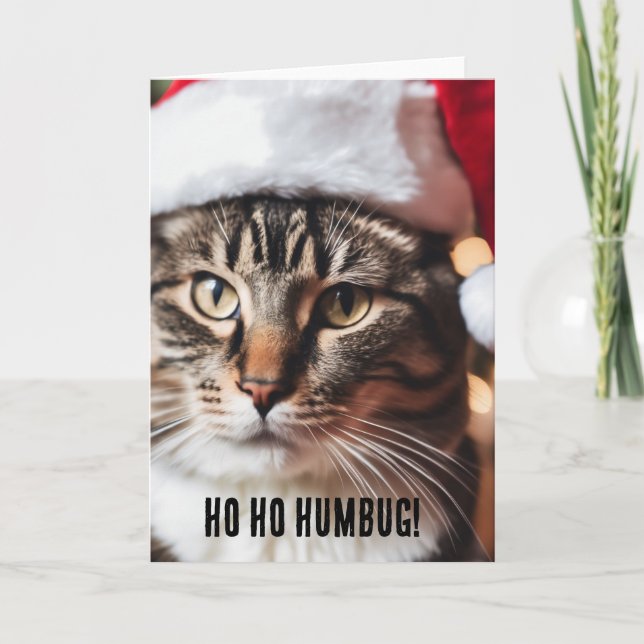 Festive Tabby Card (Front)