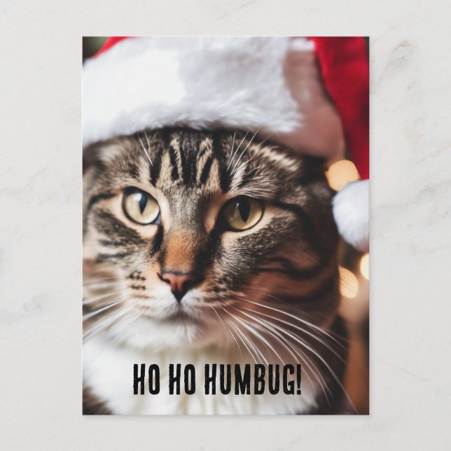 Festive Tabby Holiday Postcard (Front)
