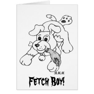 Fetch Boy