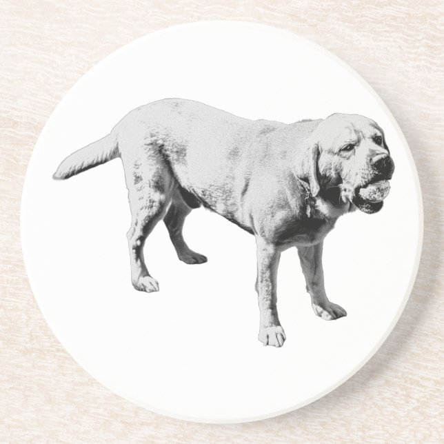 Fetch Pause Coaster (Front)