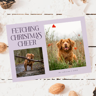 Fetching Christmas Cheer Purple Dog Photo Holiday Card