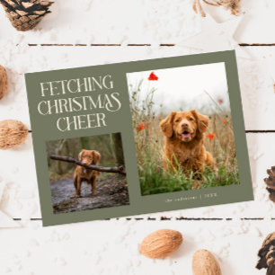 Fetching Christmas Cheer Sage Green Dog Photo Holiday Card