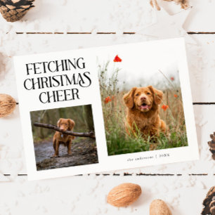Fetching Christmas Cheer White Dog Photo Holiday Card