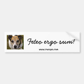 Feteo ergo sum bumper sticker