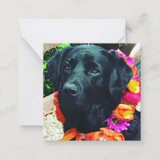 Fia Flower Dog with Floral Collar Note Card