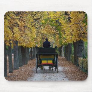 Fiaker In Schönbrunn, Wien Österreich Mouse Mat
