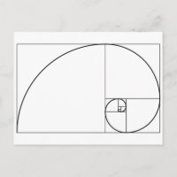 Fibonacci Spiral Golden Ratio