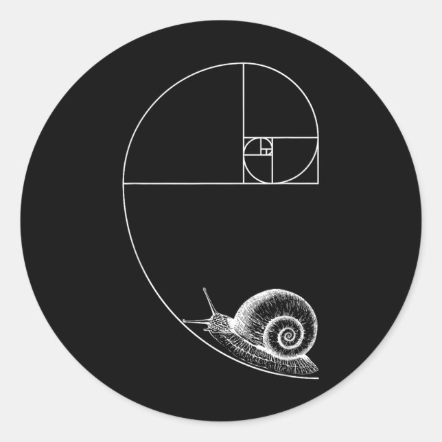 Fibonacci With Snail Mathematics Math Teacher Geom Classic Round Sticker (Front)