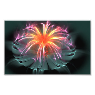 Fibre Optic Flower (wide) Photo Print