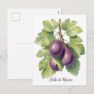 Fichi di Maiori – Italian Fig Amalfi Coast Botanic Holiday Postcard
