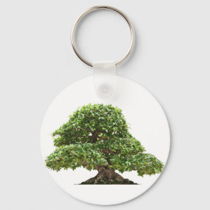 Ficus bonsai isolated key ring