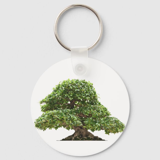 Ficus bonsai isolated key ring (Front)