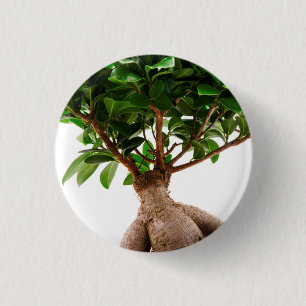 Ficus Ginseng 3 Cm Round Badge