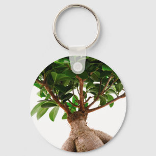 Ficus Ginseng Key Ring