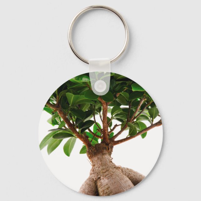 Ficus Ginseng Key Ring (Front)