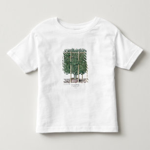 Ficus indica eystettensis, from the 'Hortus Eystet Toddler T-Shirt