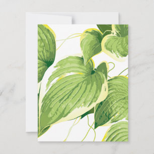 Ficus Plant 2 Card