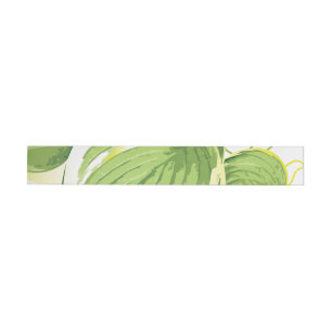 Ficus Plant 2 Wrap Around Label