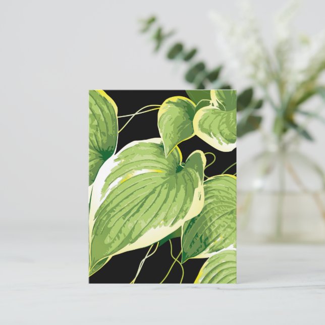 Ficus Plant 3 Postcard (Standing Front)