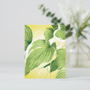 Ficus Plant 4 Holiday Postcard