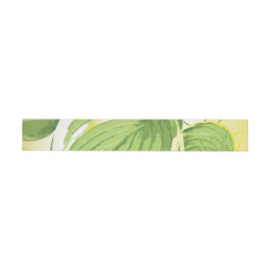 Ficus Plant 4 Wrap Around Label