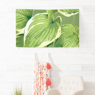Ficus Plant 5 Banner