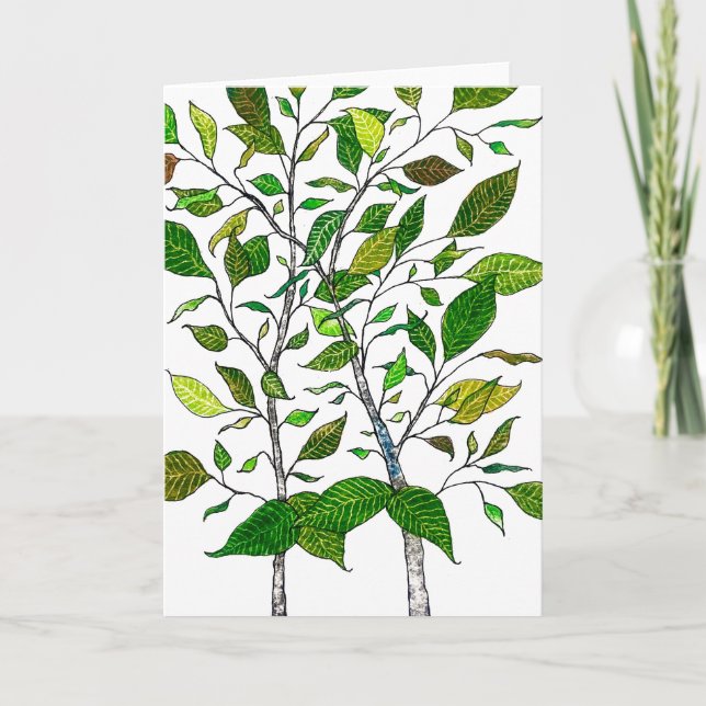 Ficus Plant Color Pencil Tree Drawing  Card (Front)