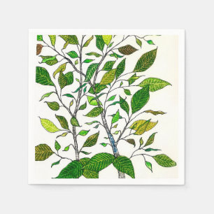 Ficus Plant Color Pencil Tree Drawing  Napkin