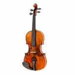 Fiddle Violin 3D Photo Sculpture Decoration<br><div class="desc">This 3D violin ornament would look great hanging on your tree or perhaps from the rear-view mirror in your car.  A fiddle sculpture is a perfect gift for a fiddler or violinist!</div>