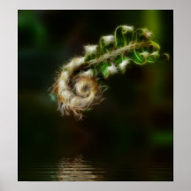 Fiddlehead Fern print