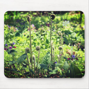 Fiddlehead Ferns And Flowers  Mouse Mat