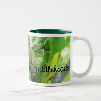 fiddlehead mug