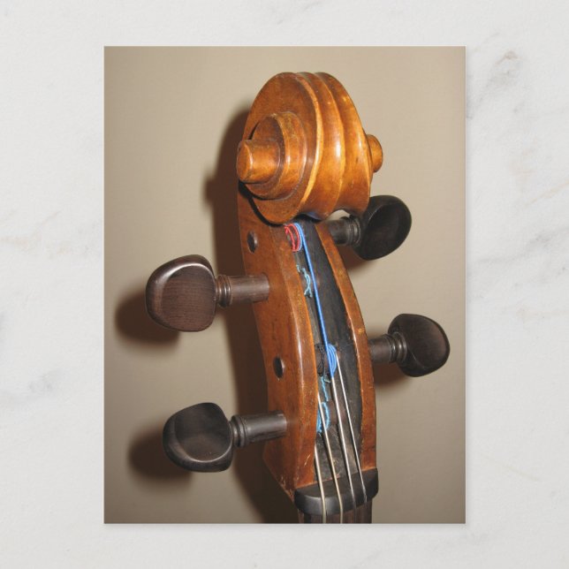 Fiddlehead postcard (Front)