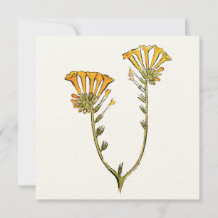 Fiddleneck Card