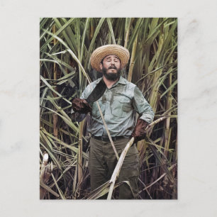 Fidel Castro Postcard