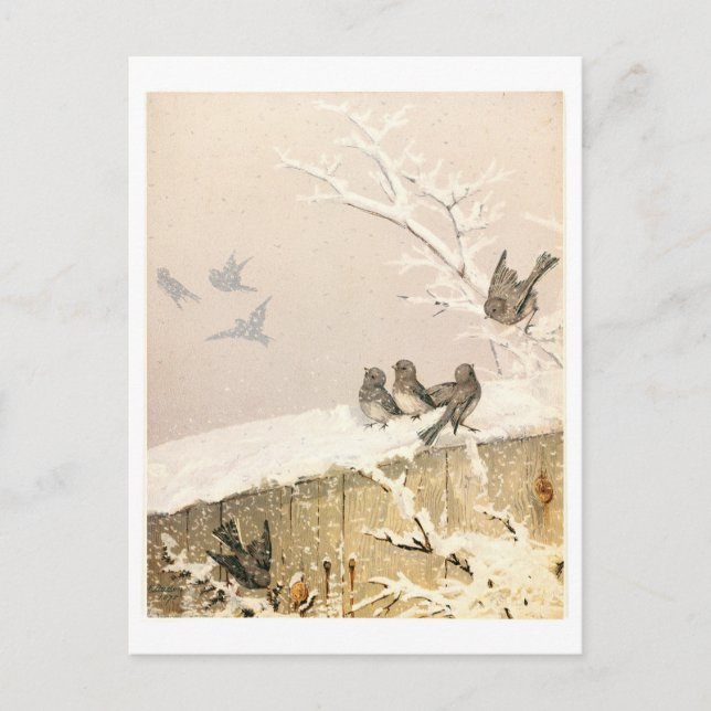 Fidelia Bridges Holiday Postcard (Front)