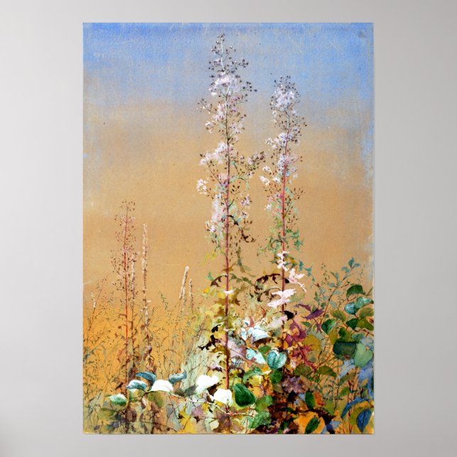 Fidelia Bridges Untitled Poster (Front)