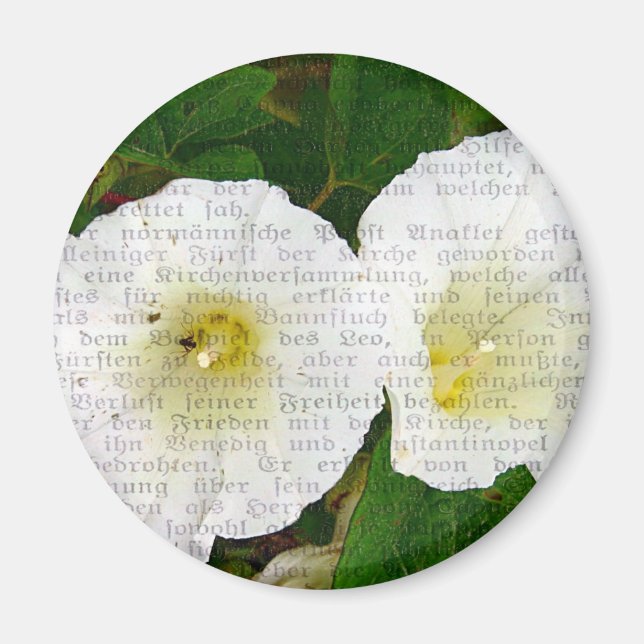 Field Bindweed Collage Magnet (Front)