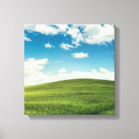 Field 