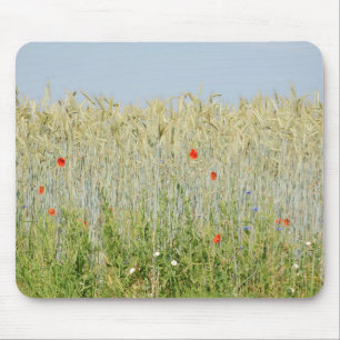 Field edge of a corn field mouse mat