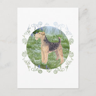 Field Flowers Postcard