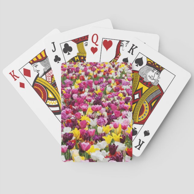 field full of tulips playing cards (Back)