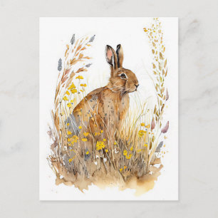 Field Hare Among Colourful Flowers and Grasses Postcard