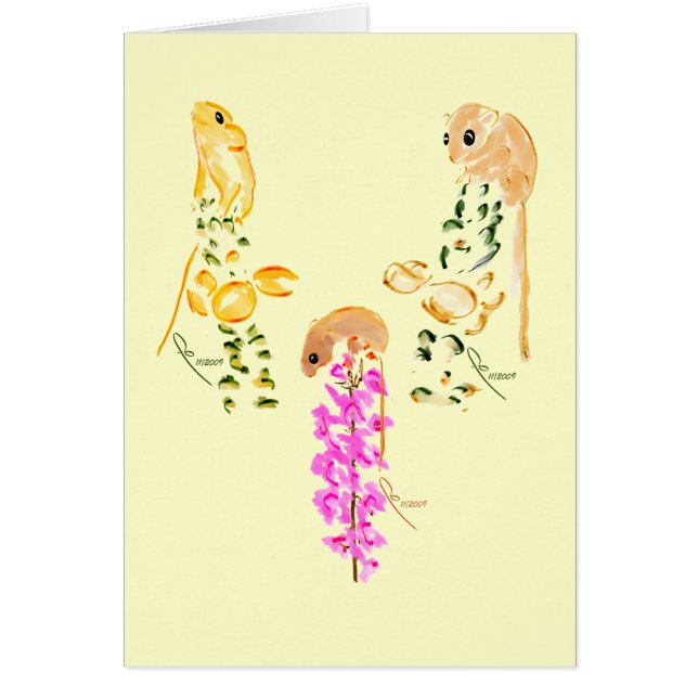 field mice playing (Front)