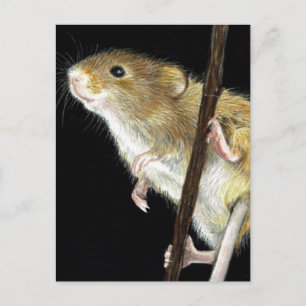 Field Mouse design Postcard