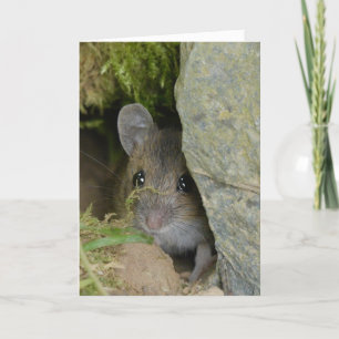 Field mouse in a hole in the wall card
