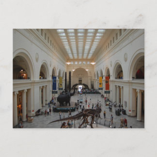 Field Museum Postcard